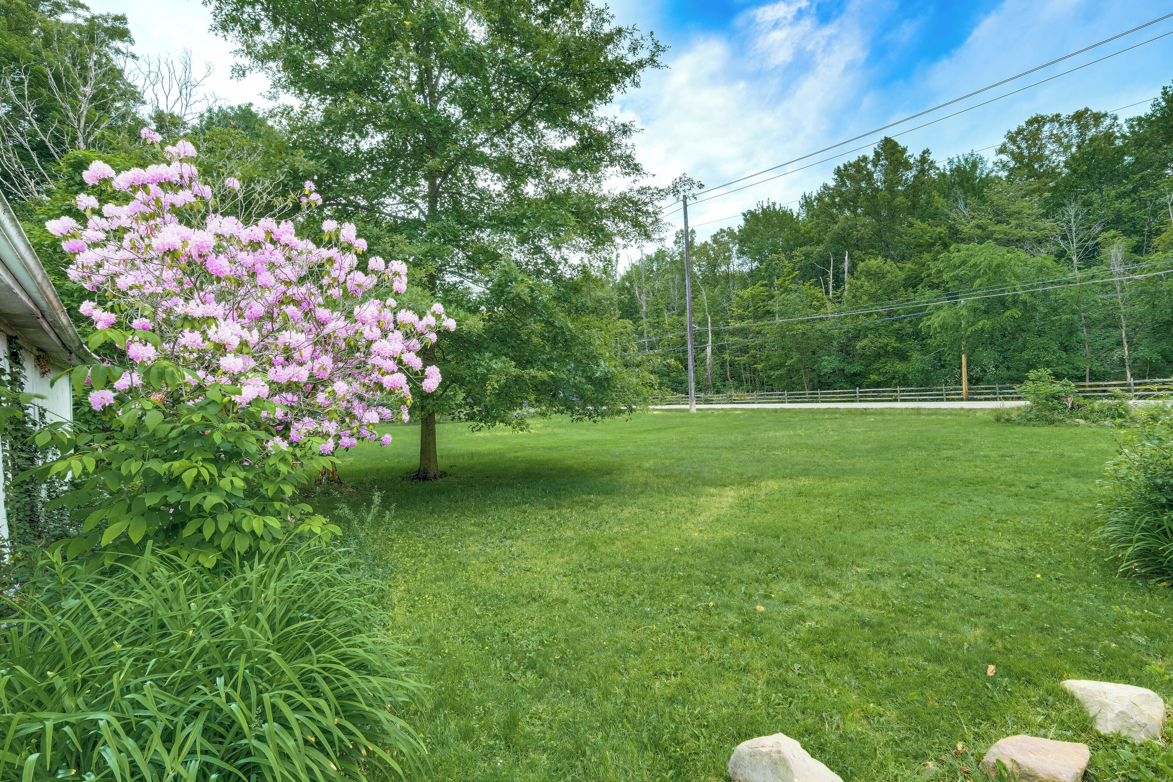 A well-maintained grassy yard with a flowering tree, a fence, and a backdrop of dense trees.