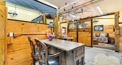 Unique Finger Lakes Converted Horse Barn w/ Patio!