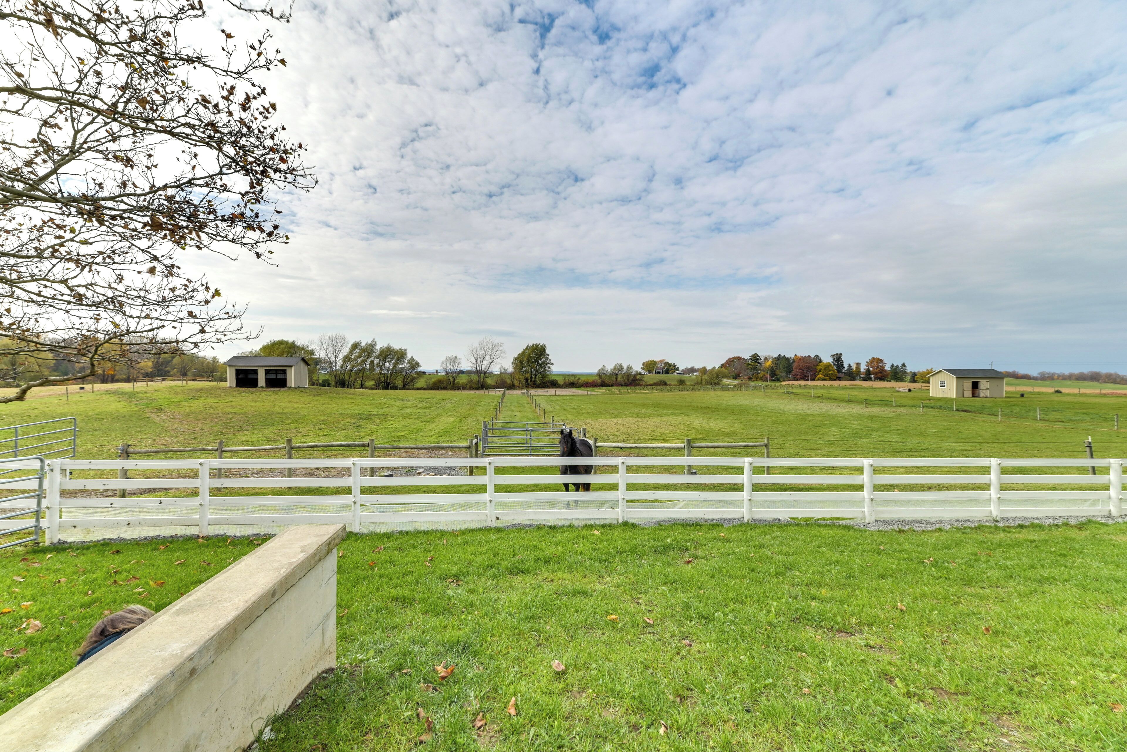 Un paysage rural avec une clôture blanche, une étable et un cheval.