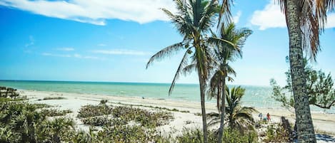 Playa en los alrededores