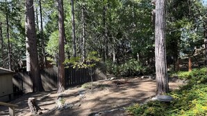 Un patio trasero con un sendero de tierra, un banco de madera y altos árboles.