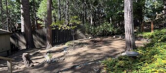 Doe’s Den – Cozy Lake-Access Retreat in Twain Harte 🏡🌲