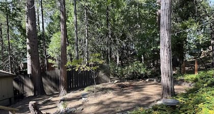 Doe’s Den – Cozy Lake-Access Retreat in Twain Harte 🏡🌲