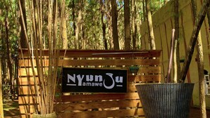 A wooden sign with the text "NYUN amawE Ju" in a forested area with bamboo and trees. - Nyungu Yamawe Forest Park (Kitukutwe)