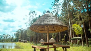 A thatched-roof pavilion with benches, surrounded by a forest and a body of water. - Nyungu Yamawe Forest Park (Kitukutwe)
