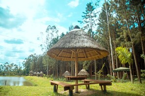 Exterior - Nyungu Yamawe Forest Park (Kitukutwe)