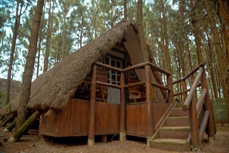 Deluxe Triple Room, Multiple Beds, Non Smoking, Garden View. Nyungu Yamawe Forest Park