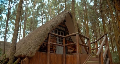 Nyungu Yamawe Forest Park