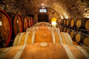 Wine cellar with rows of barrels for wine storage and aging, featuring a vaulted ceiling and a wooden door.