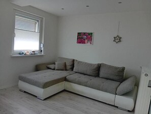 TV, fireplace, books - Ferienhaus Hesse (37290 Meißner)