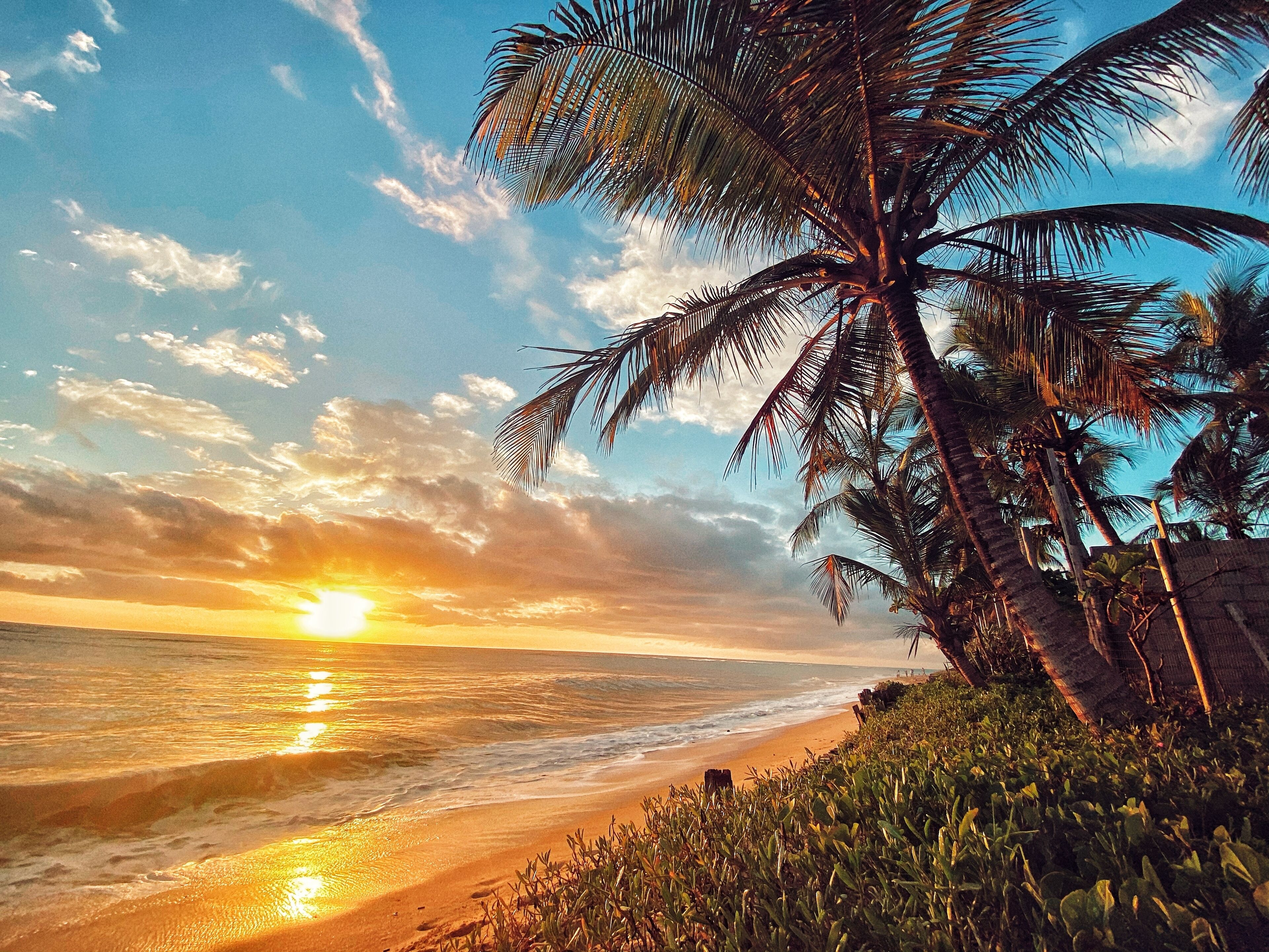 On the beach, sun loungers, beach towels