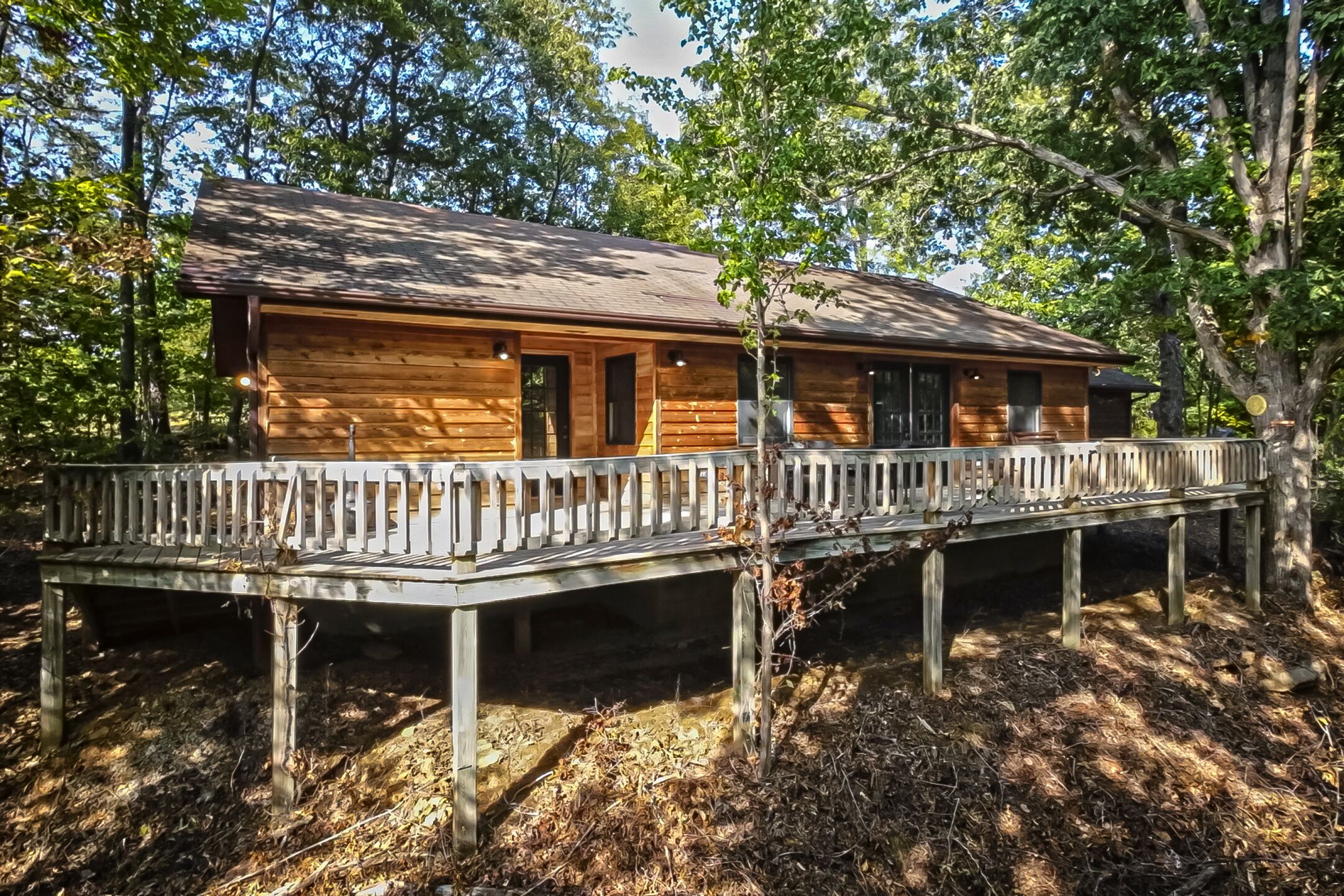 Gorgeous Secluded Cabin close to SIU and all the wineries