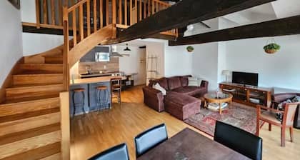 Superbe Appt atypique classé 4 étoiles 65 m2 hyper centre Albi