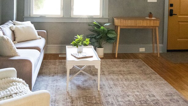 Un salon avec un canapé, une table basse, une petite table avec une plante et un miroir au mur.