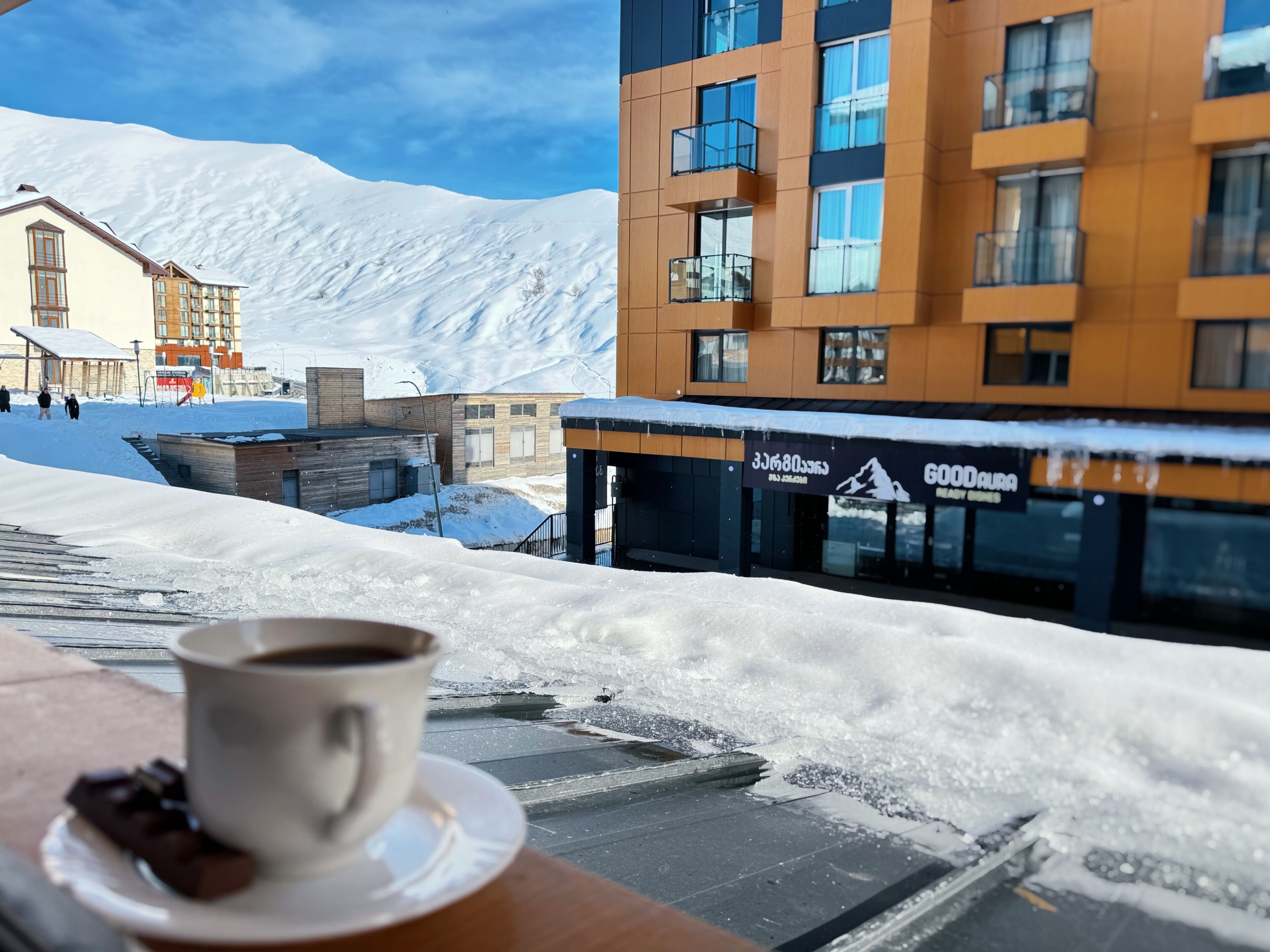 Studio Standard | Vue sur le jardin