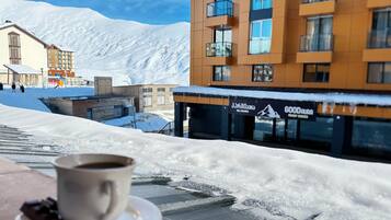 Studio Standard | Vue sur le jardin