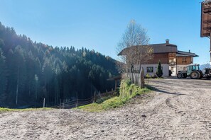 Áreas de la propiedad