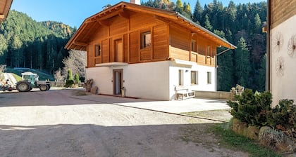 Ferme 'Innerjerberhof Sunnseit' avec vue sur les montagnes, terrasse partagée et Wi-Fi