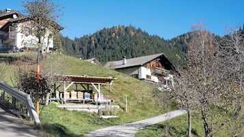 Esterni