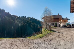 Property grounds - Farmhouse 'Innerjerberhof Neiderseit' with Mountain View, Shared Terrace and Wi-Fi (Laurein)