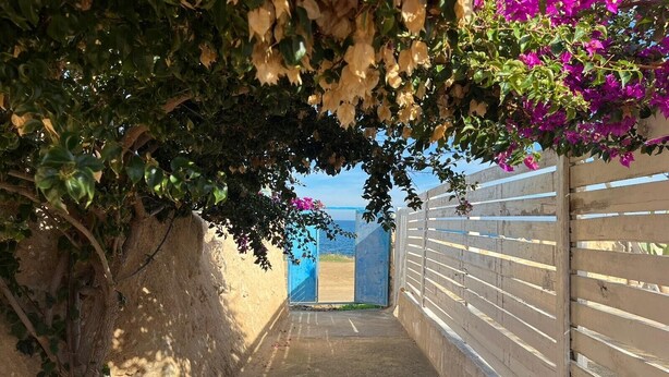 A narrow concrete pathway leading to a beach, surrounded by a wall with a wooden fence on one side and a tree with green leaves and pink flowers on the other.