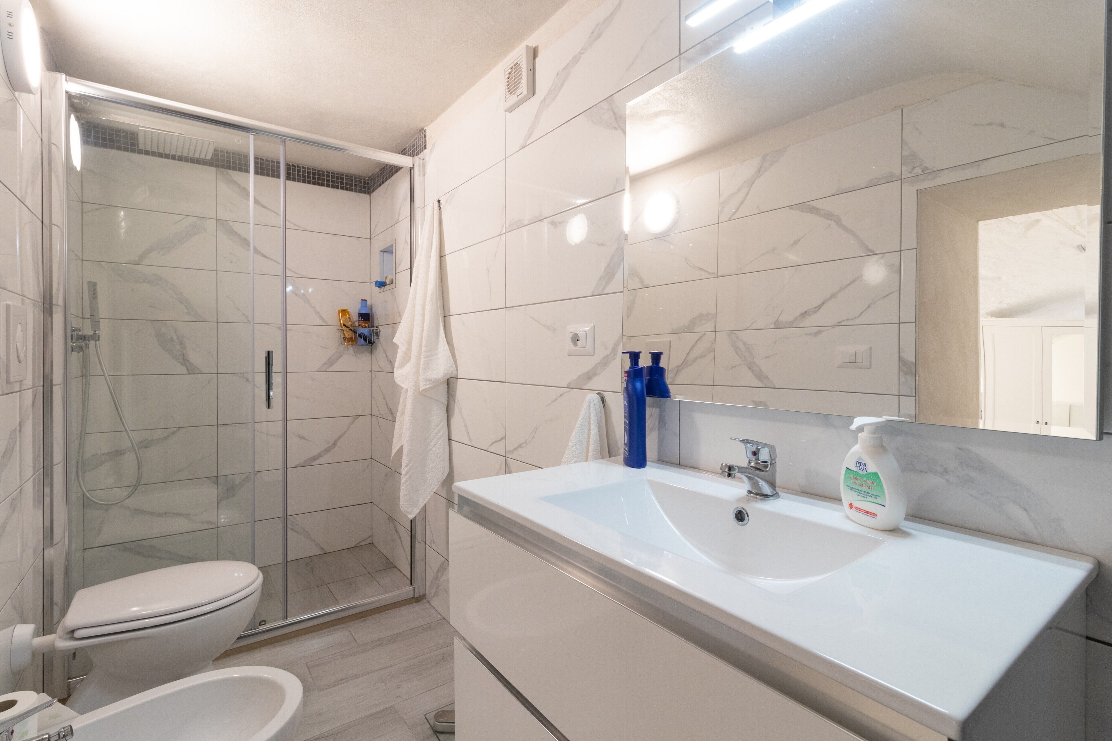 Shower, hair dryer, towels