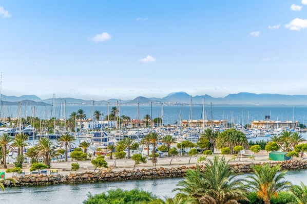 A marina with boats, palm trees, and a view of the sea and mountains.