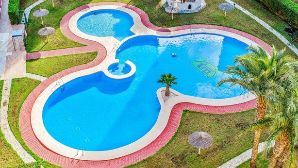 Ein Schwimmbecken mit außergewöhnlichem Design, umgeben von einem Ziegelweg und Palmen.