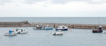 Holiday Home 'Maison Vue Mer 150m De La Plage' with Sea View, Private Terrace and Wi-Fi