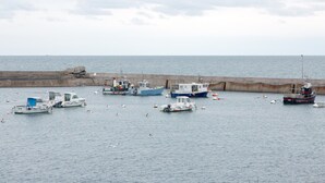 A harbor with various boats docked near a concrete breakwater. - Holiday Home 'Maison Vue Mer 150m De La Plage' with Sea View, Private Terrace and Wi-Fi (Trégunc)