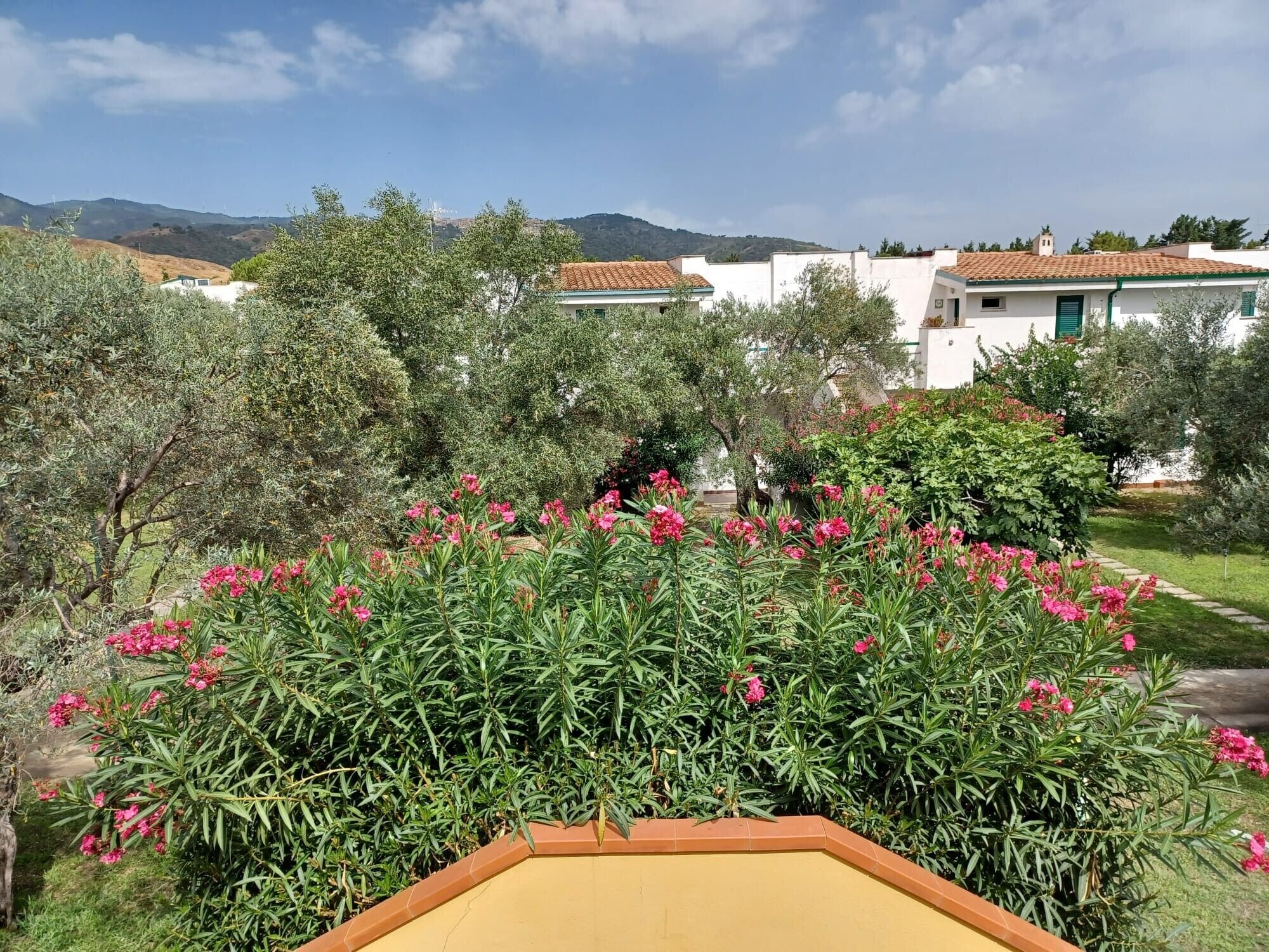 Parco della struttura