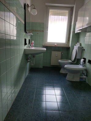 Shower, free toiletries, hair dryer