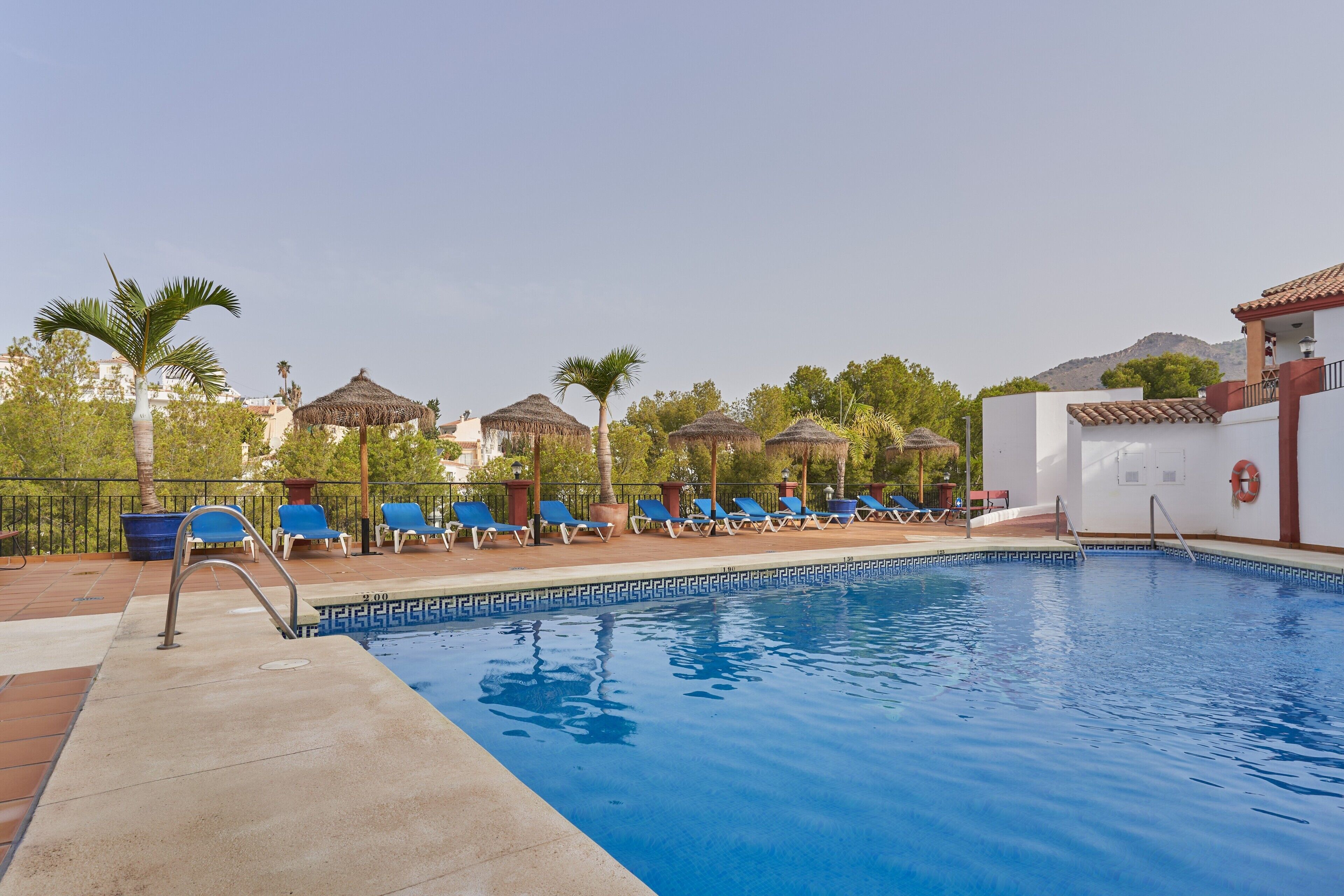 Una piscina con sillas de descanso y palmeras.