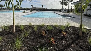 Piscina con palmeras y cielo despejado.