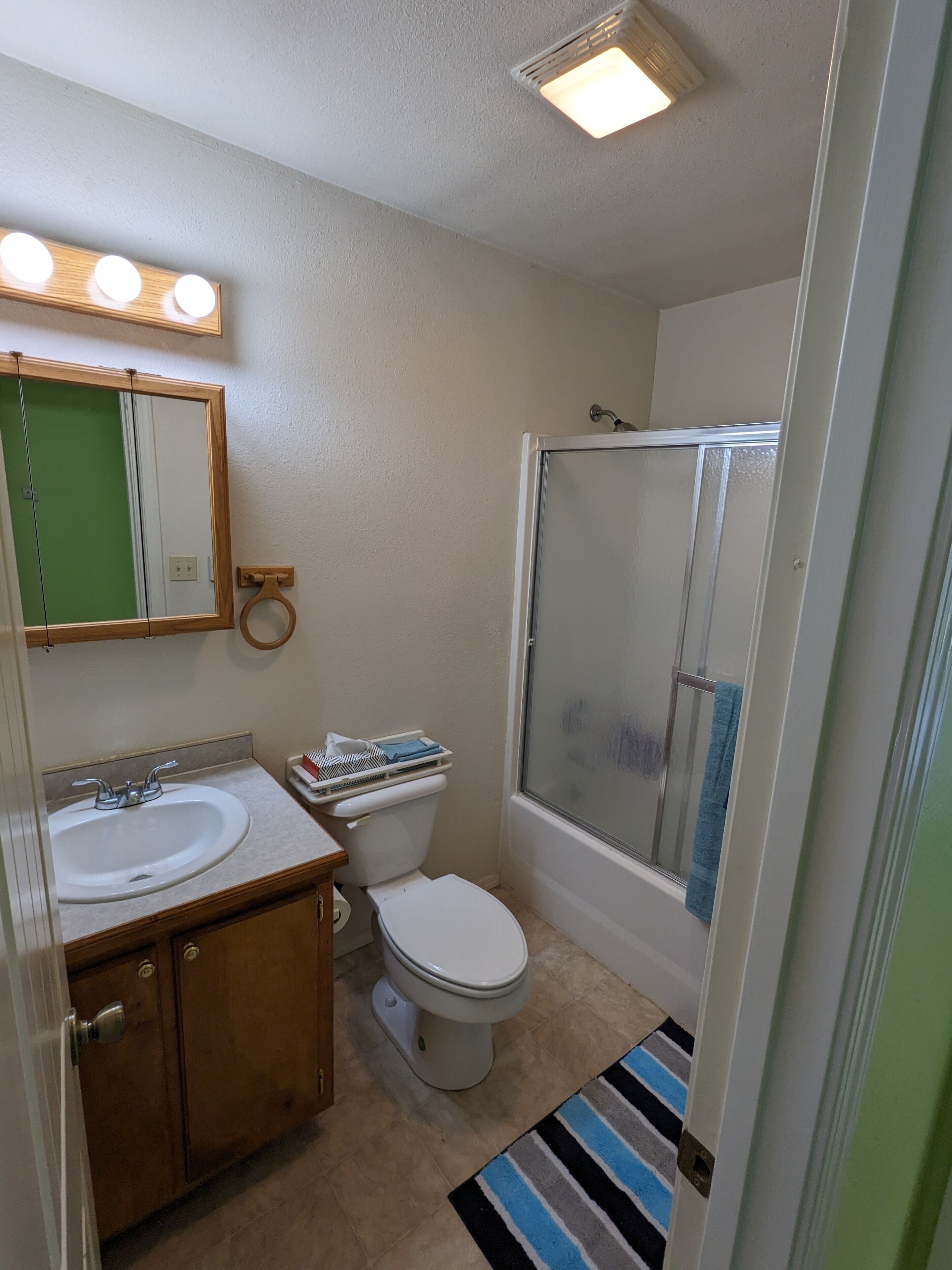 Hair dryer, towels, soap, shampoo