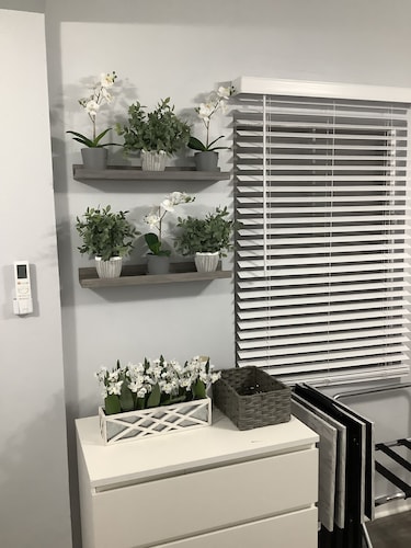 Breathless Vista "4"