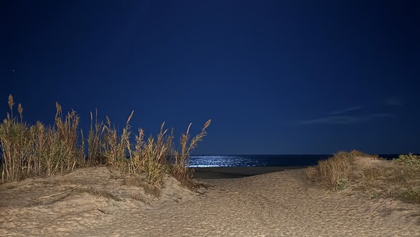 A nighttime beach scene with a sandy path leading to the ocean, under a dark sky with a bright moon and a visible planet.