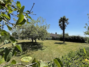 Ein Wohngarten mit Rasen, einer Palme und einem Haus im Hintergrund.