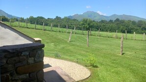 Viñedo con muro de piedra y una vista despejada de las montañas al fondo.