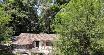 ERREKARTEKO-BORDA - SAINT-JEAN-LE-VIEUX