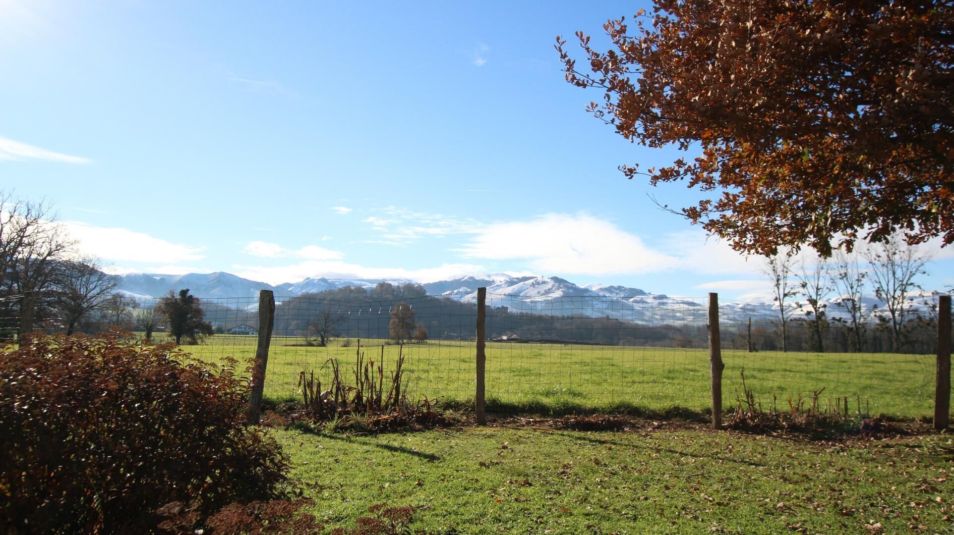 A fenced field with a mountain range in the background.