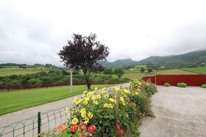 Àrea exterior de l'allotjament