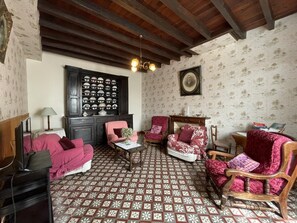 TV, fireplace - Chez Labat 1 - Espoey (ESPOEY)