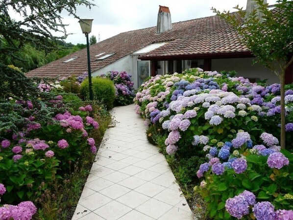 Terrein van de accommodatie