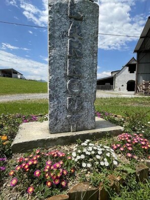 Exterior detail - Larrouy - Asson - Gîte (ASSON)