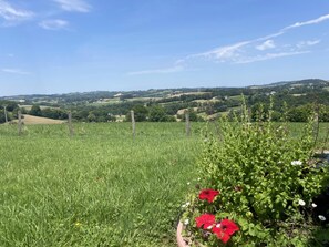 Property grounds - Larrouy - Asson - Gîte (ASSON)