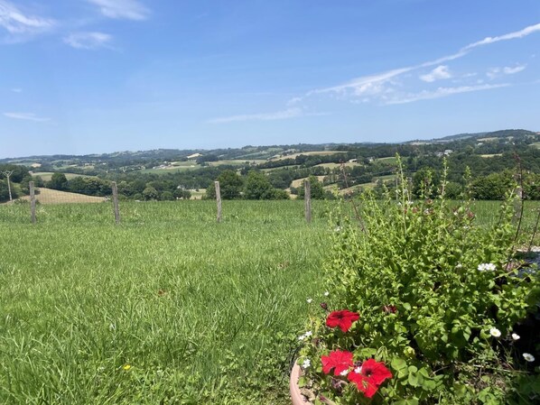 Terrain de l’hébergement 