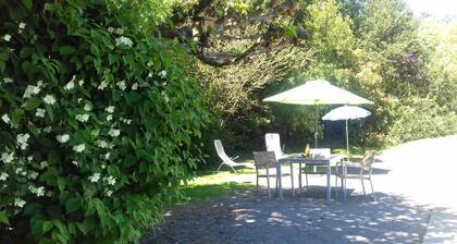 GEREZI ONDOAN - SAINT-JEAN-LE-VIEUX