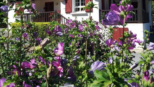 A traditional chalet with a balcony, surrounded by blooming purple flowers. - Xearbaita - Urrugne - Gîte (URRUGNE)