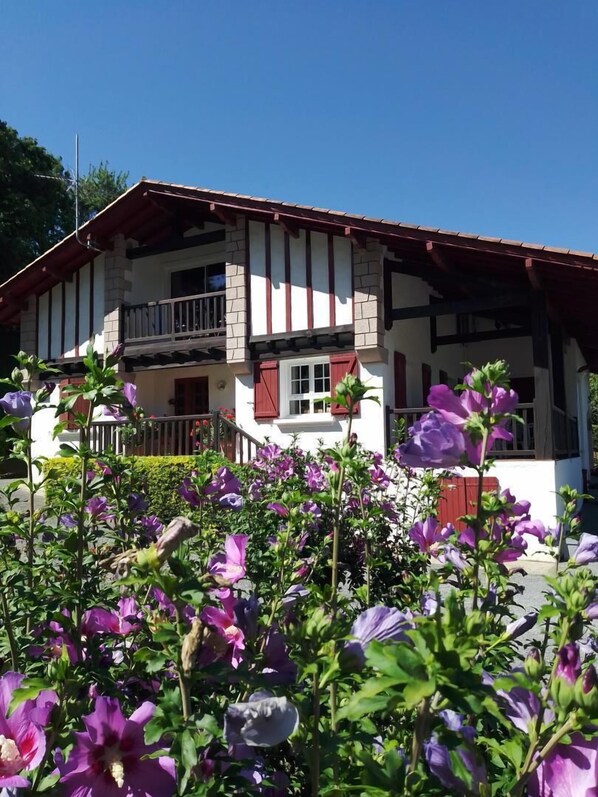 Property grounds - Xearbaita - Urrugne - Gîte (URRUGNE)